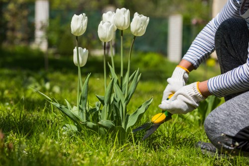 Customer complaint review for tree surgery services