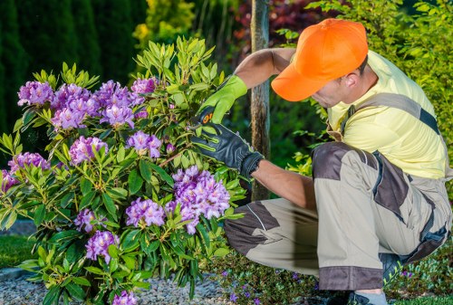 Tree surgeons pricing guide for local properties and access