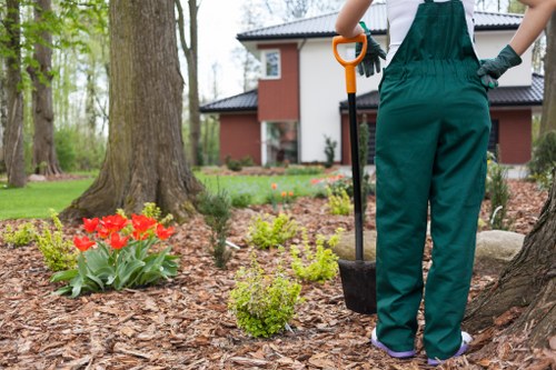 Senior leadership reviewing modern slavery controls for tree surgery services